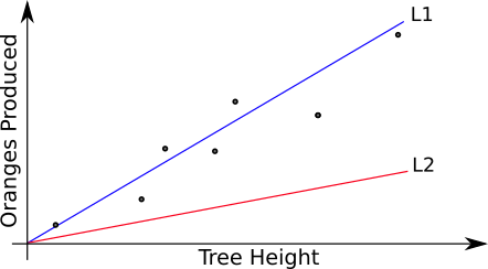 Two lines that approximate the training set with different levels of success.