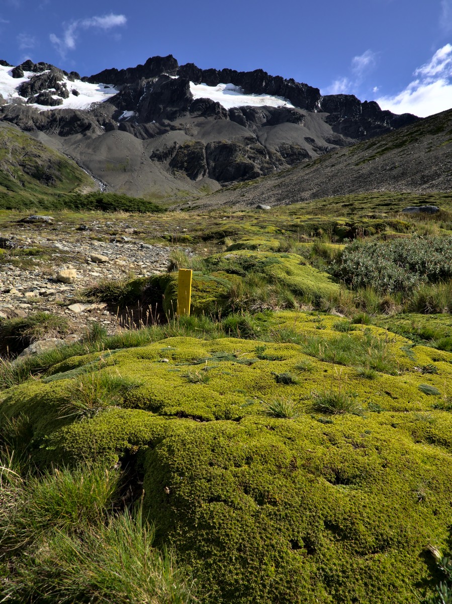 Cerro Martial.